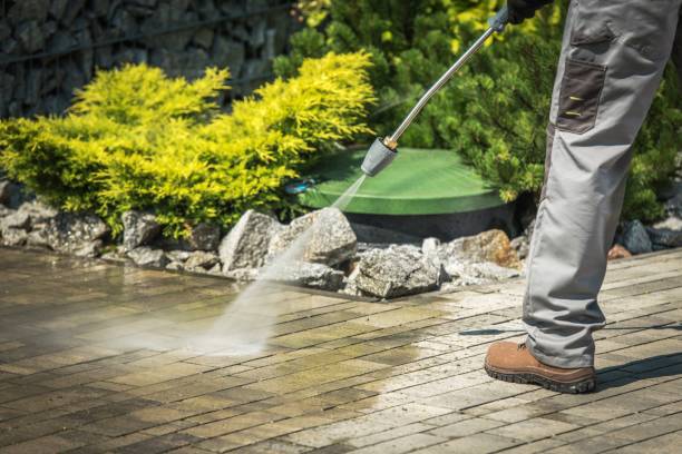 Best Sidewalk and Walkway Cleaning  in Black Jack, MO