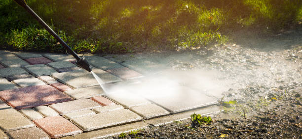 Best Fence Cleaning  in Black Jack, MO